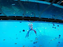 -瑞德姆美人鱼海底演艺主题餐厅(亚龙湾店)