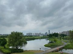 -洋湖国家湿地公园