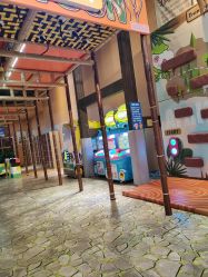 -卡通尼·Safari非洲探索乐园·生日会(金桥国际商业广场店)