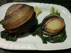 北极贝，鲍鱼-船奇蒸汽海鲜·闽菜(八市海鲜总店)