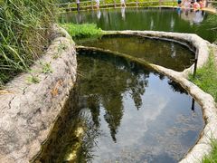 -成都市活水公园