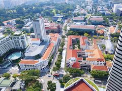 -新加坡瑞士史丹福酒店