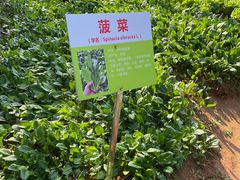 -天河儿童公园