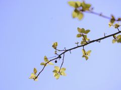 -白塘生态植物园