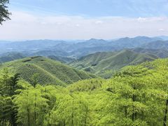 -莫干山风景区