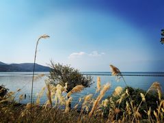 -大理洱海