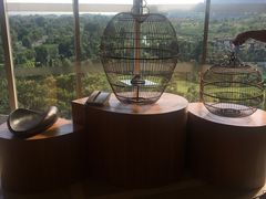 -成都蒲江花样年福朋喜来登度假酒店·宜客乐西餐厅