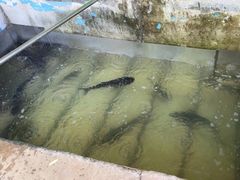 -姥家大锅台水库渔家
