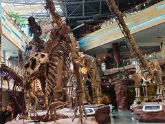 -安徽省地质博物馆