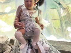 -泉城欧乐堡海洋极地世界