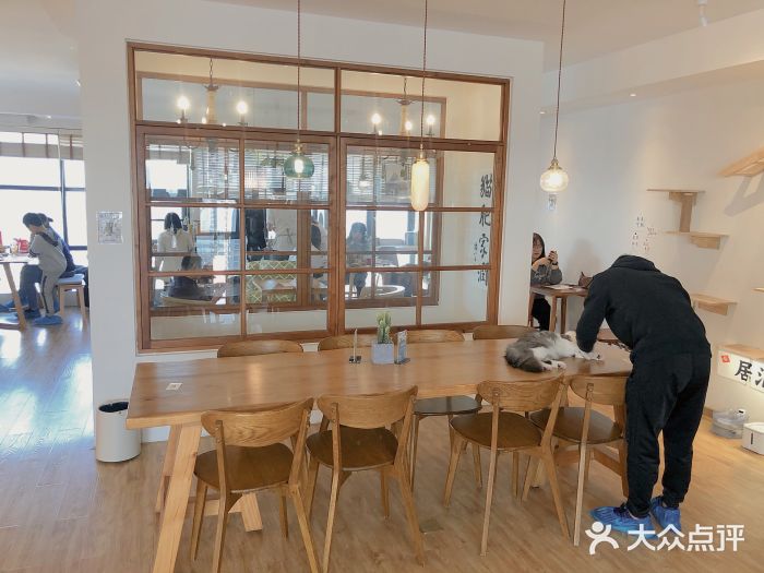 猫小主咖啡·猫咖cat cafe(福田店)大堂图片