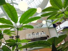 -Seesaw Coffee(上海太阳宫K46店)
