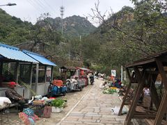 -大岭沟猕猴桃谷风景区