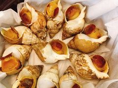 海螺-天然居(伦教店)