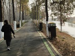 -合肥滨湖国家森林公园