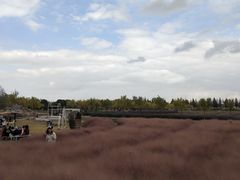 -嘉北郊野公园