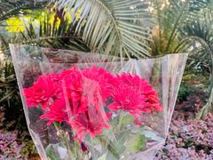 -Butchart布查德鲜花(花艺设计中心)