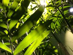 -出走咖啡·面包(宋庄店)