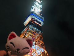 -东京塔海贼王主题公园