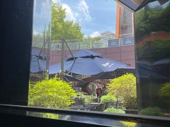 -bluefrog蓝蛙(水游城店)