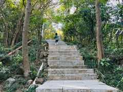 -小南山公园