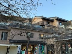 -黄山排云型旅酒店餐厅
