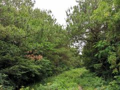 -青龙山国家森林公园