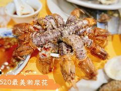 -蚝专家(北滘店)