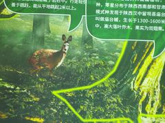 -陕西自然博物馆