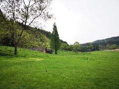 -武陵山森林公园
