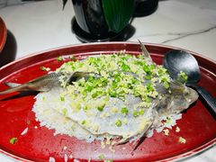 -钟菜·粤菜点心·宴请(海上世界·汇港二期店)
