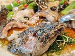 鲜花椒蒸龙趸鱼-任兴记(定西路店)