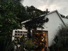 -自由生长植物工作室(深港花卉中心店)