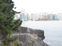 -釜山APEC峰会会议之家