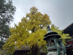 -红螺寺