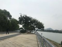 -羊山湖公园