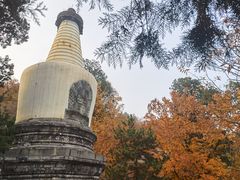 -大觉寺-停车场