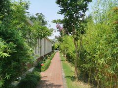 -长兴岛郊野公园农场食堂