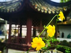 -拙政园