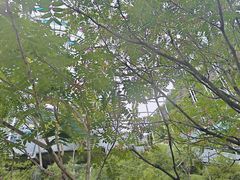 -野三坡清泉山风景区