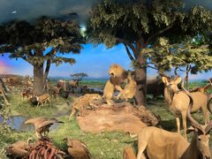 -国家自然博物馆