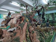 -广东茂名森林公园