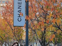 -THE NORTH FACE(三里屯ONEBOX店)