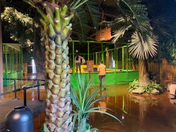 -奇幻丛林(佛罗伦萨小镇店)