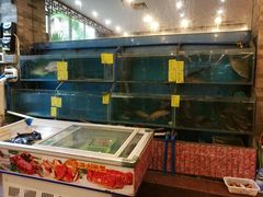 水产区-六婶西关小厨(光塔路店)