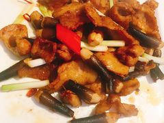 -锦粤宫·融合粤菜(上海金沙江店)