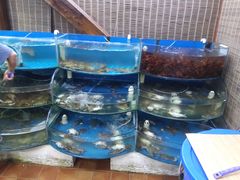-同道蒸汽海鲜烧烤自助(刘庄夜市店)