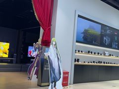 -Sony Store索尼(深圳深业上城店)