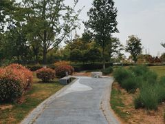 -西山漾湿地公园