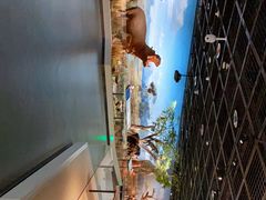 -陕西自然博物馆